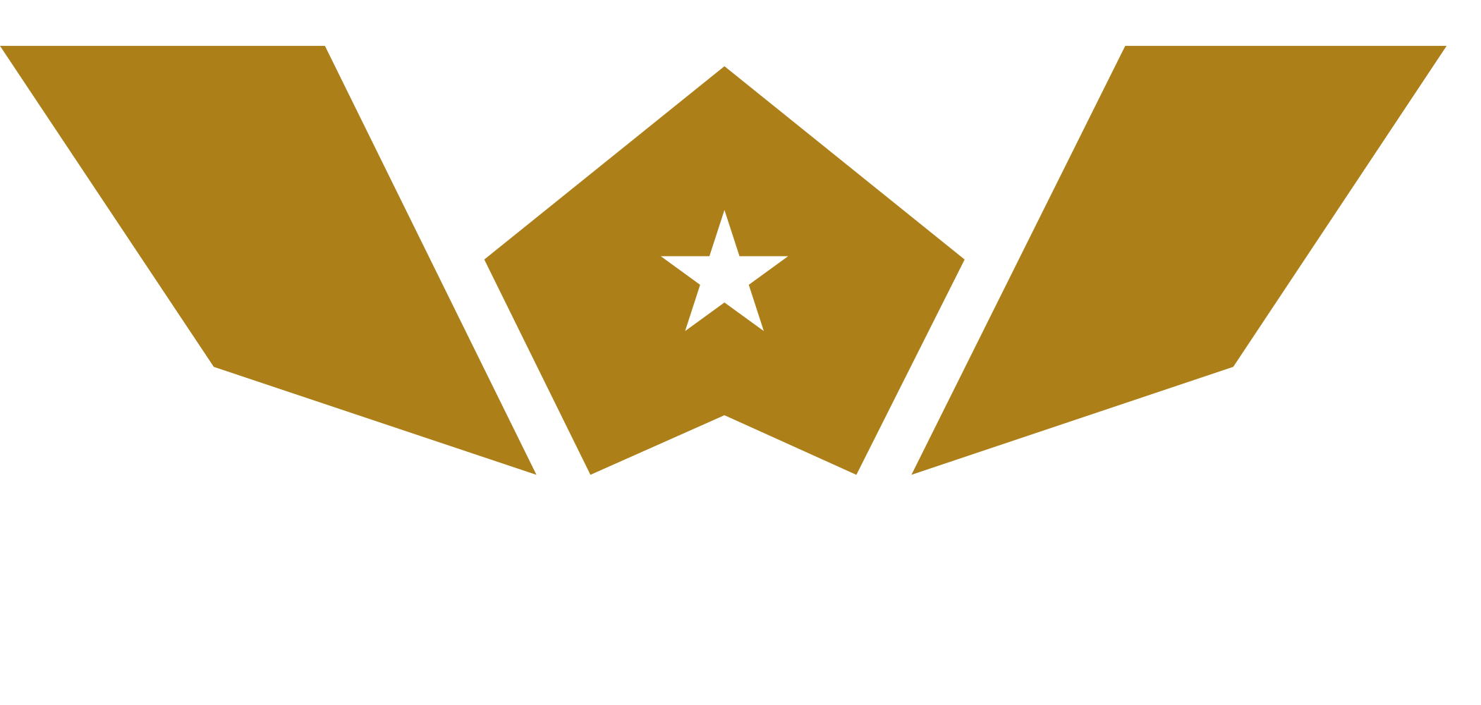 Willard Marine logo